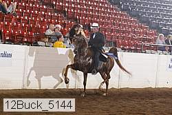 12buck_5144 proof