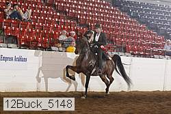 12buck_5148 proof