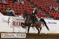 12buck_5149 proof