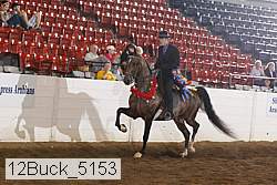 12buck_5153 proof
