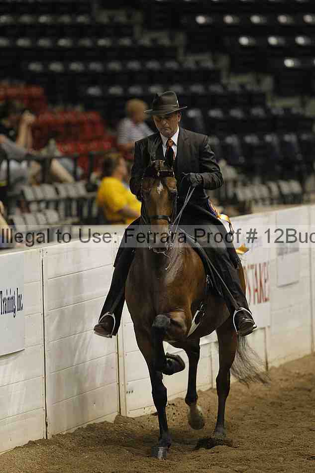 Proof 12buck_5155