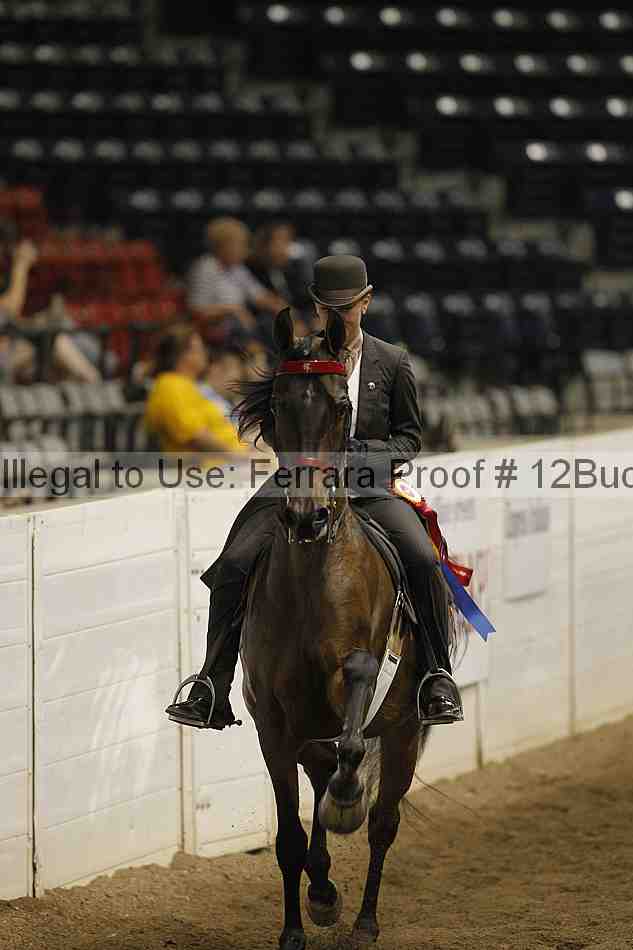 Proof 12buck_5157