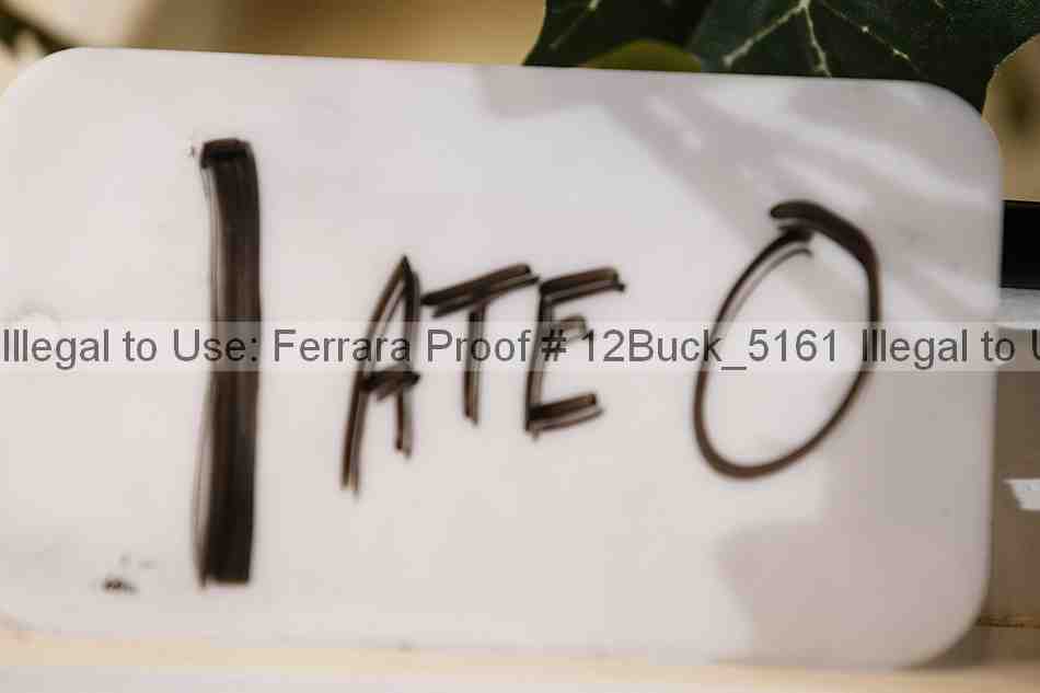 Proof 12buck_5161