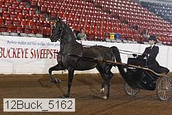 12buck_5162 proof