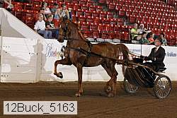 12buck_5163 proof