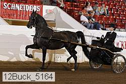 12buck_5164 proof