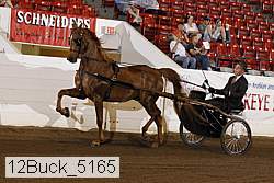 12buck_5165 proof