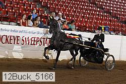 12buck_5166 proof
