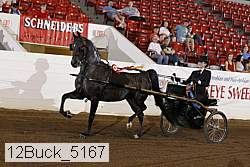 12buck_5167 proof