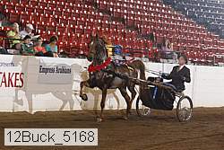 12buck_5168 proof
