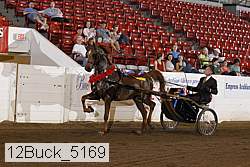 12buck_5169 proof