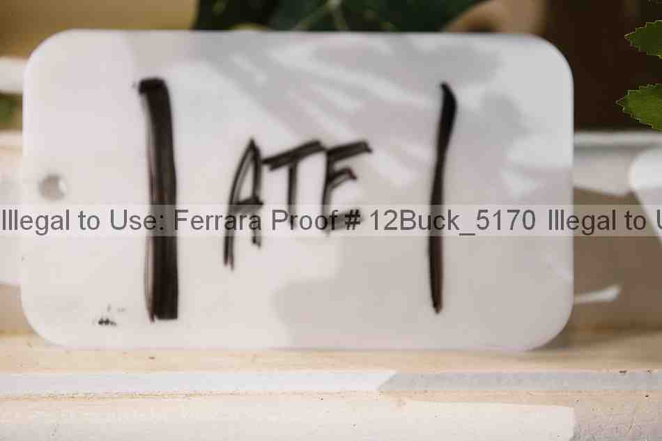 Proof 12buck_5170