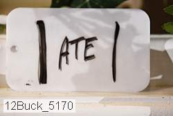 12buck_5170 proof