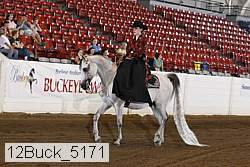12buck_5171 proof