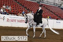12buck_5172 proof