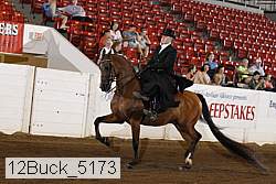 12buck_5173 proof