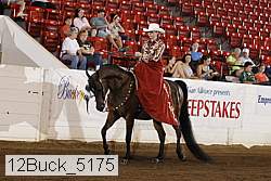 12buck_5175 proof