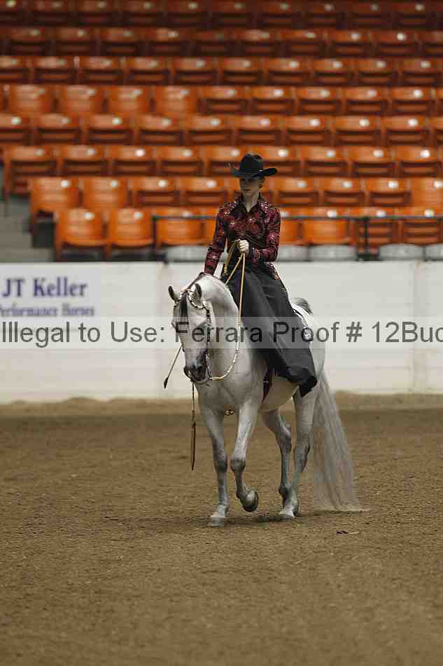 Proof 12buck_5179