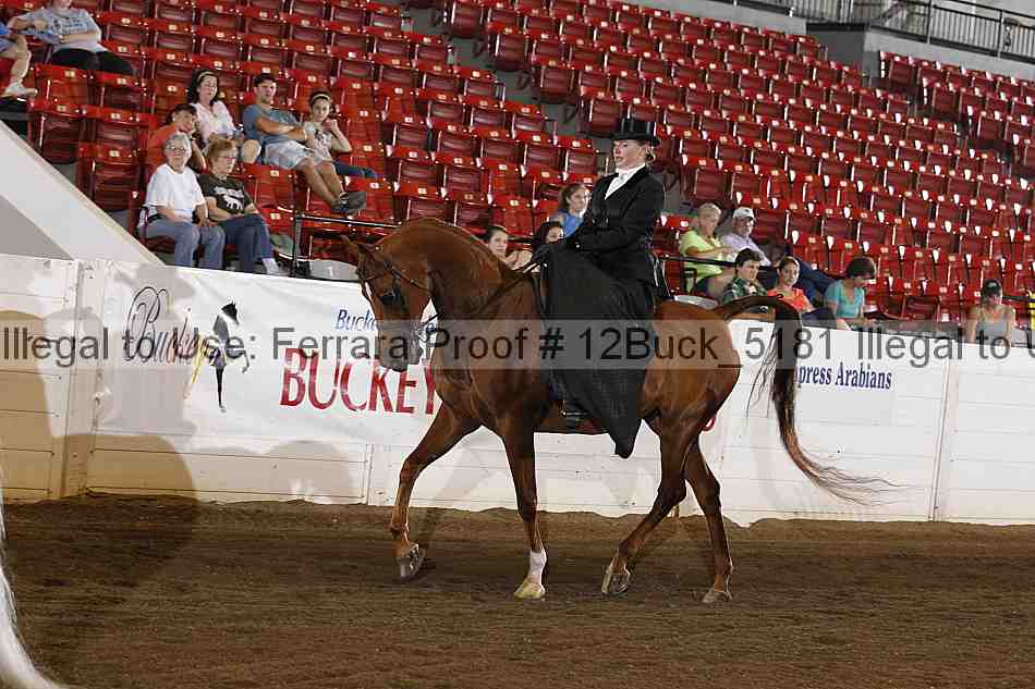 Proof 12buck_5181