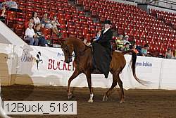 12buck_5181 proof