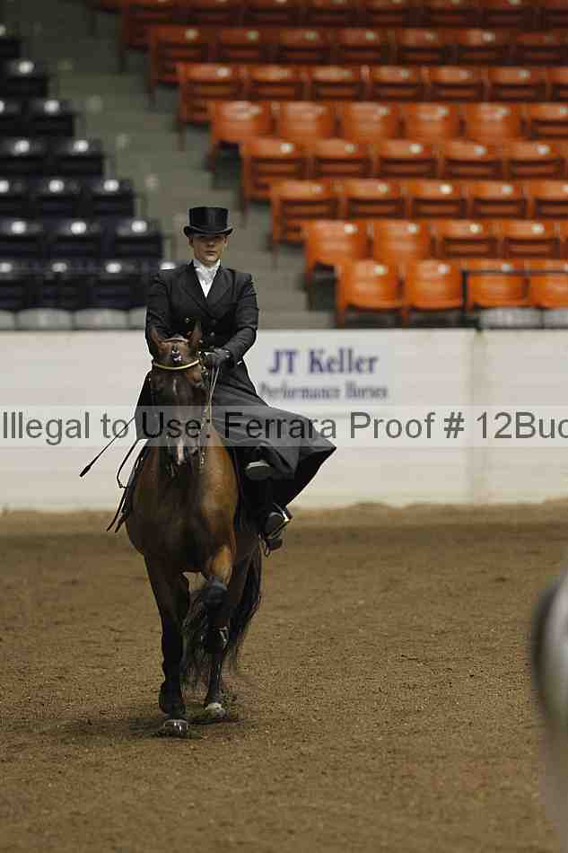 Proof 12buck_5182