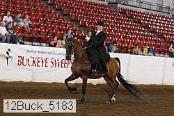 12buck_5183 proof