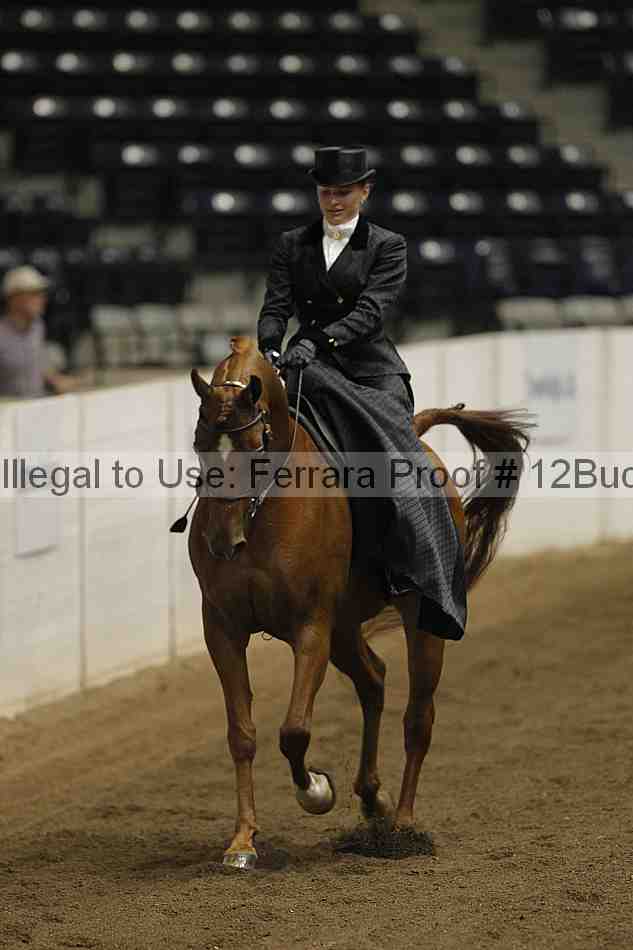 Proof 12buck_5185
