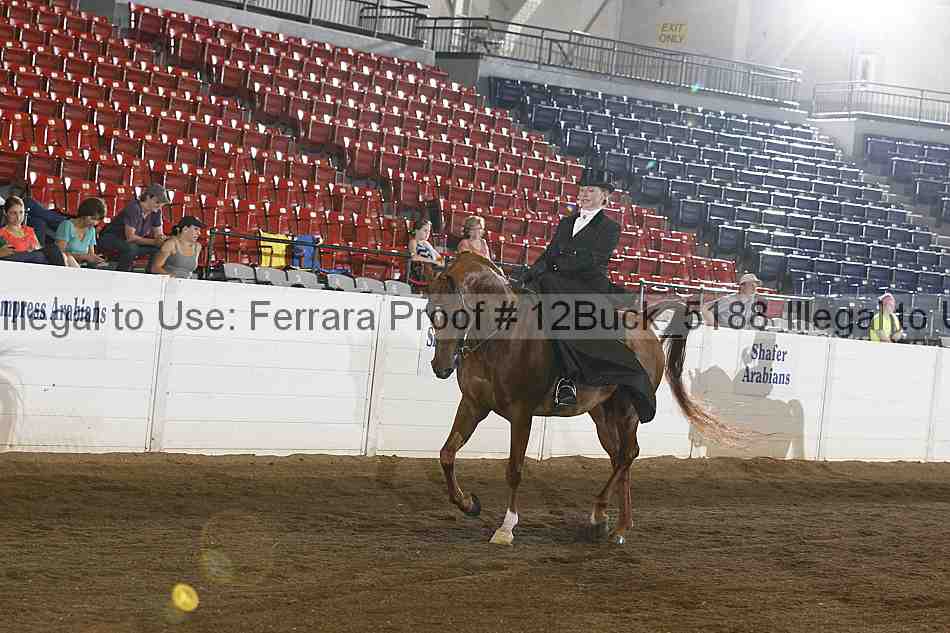 Proof 12buck_5188