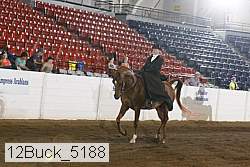 12buck_5188 proof