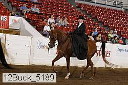 12buck_5189 proof