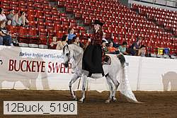 12buck_5190 proof