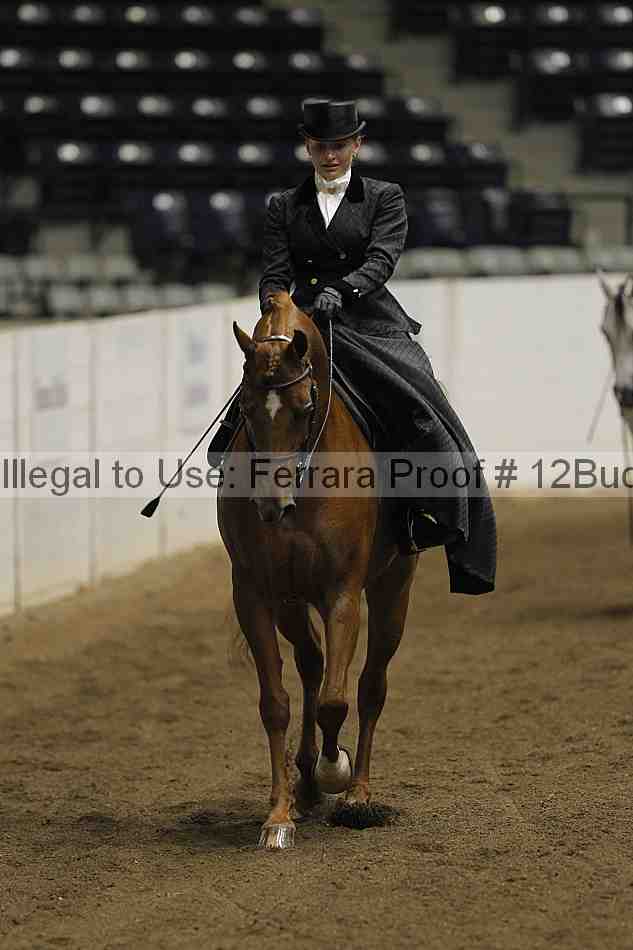 Proof 12buck_5193