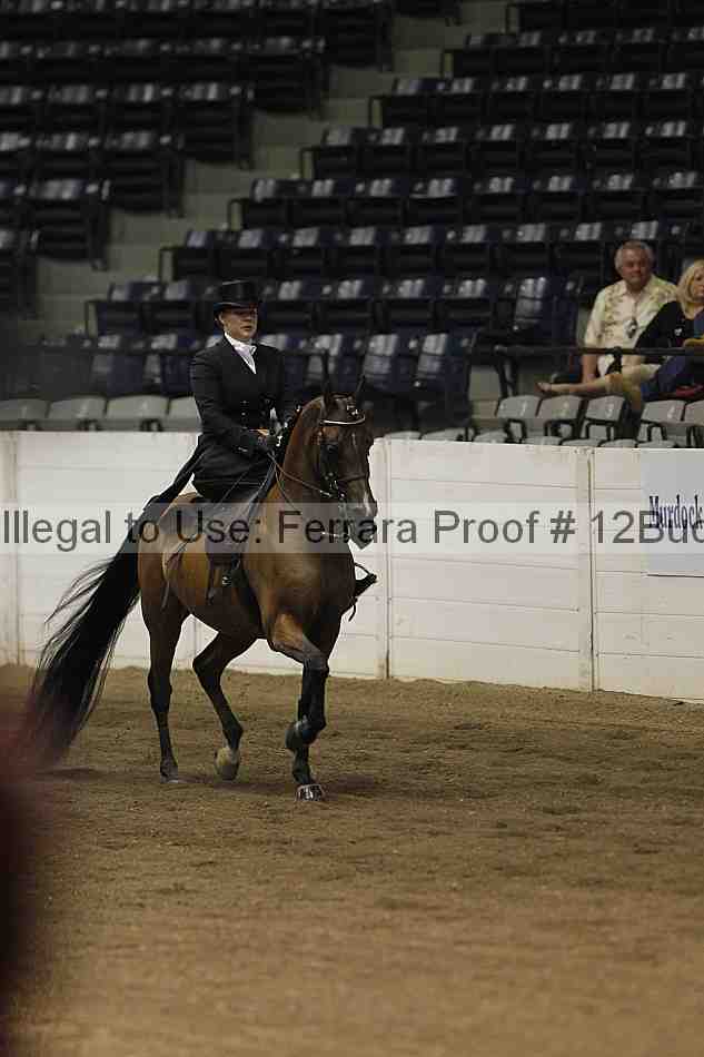Proof 12buck_5196