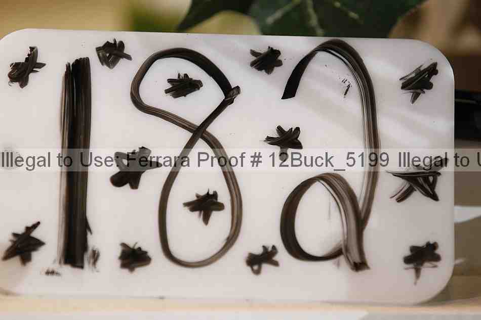Proof 12buck_5199
