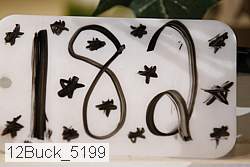 12buck_5199 proof