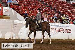 12buck_5201 proof