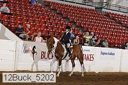 12buck_5202 proof