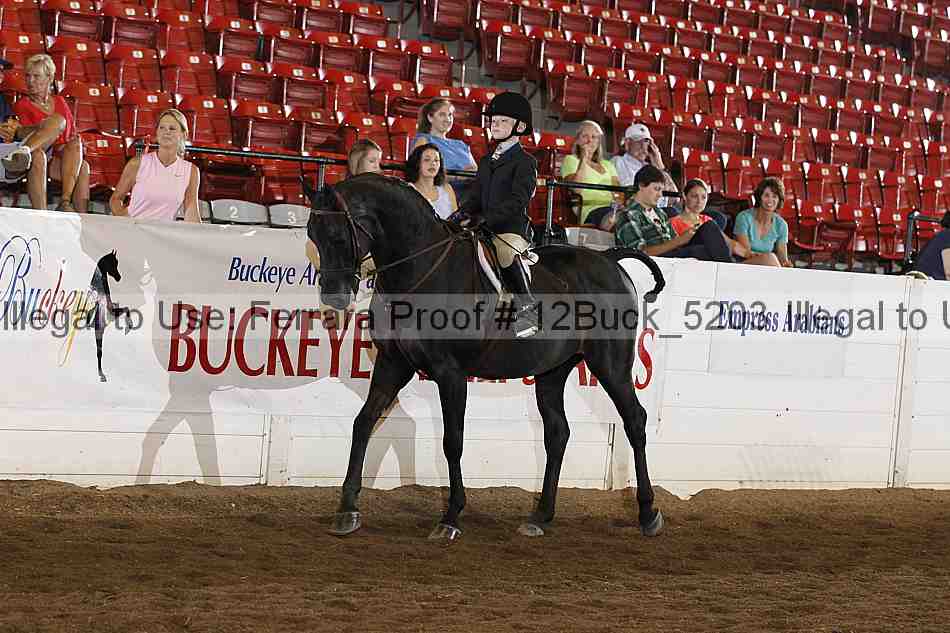 Proof 12buck_5203