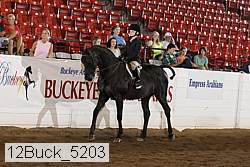 12buck_5203 proof