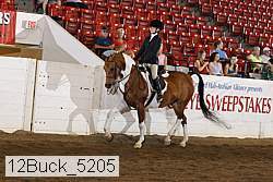 12buck_5205 proof