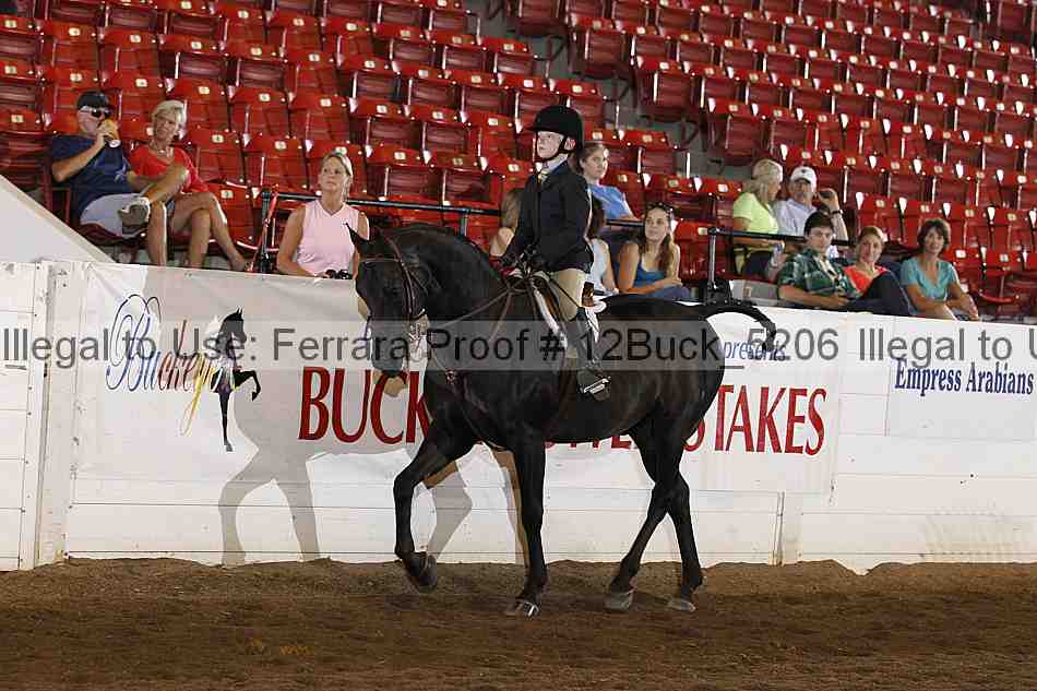Proof 12buck_5206