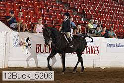 12buck_5206 proof
