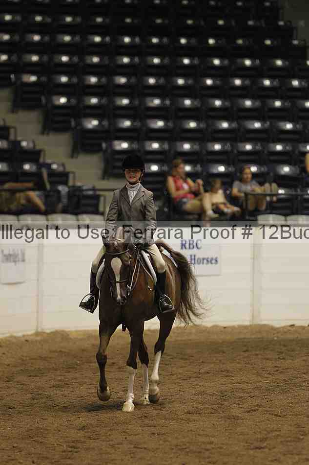 Proof 12buck_5207