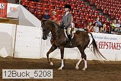 12buck_5208 proof