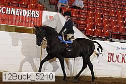 12buck_5210 proof