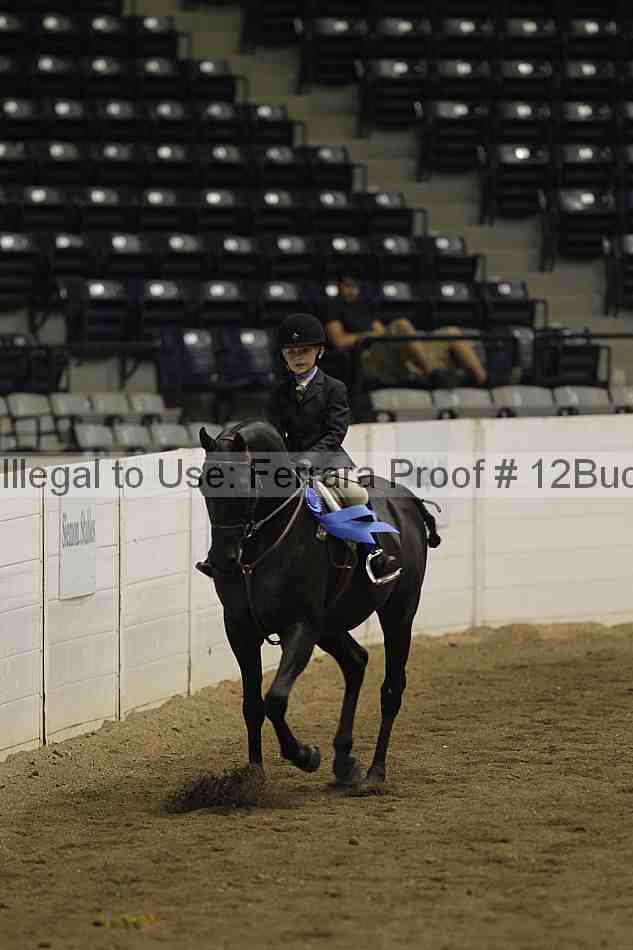 Proof 12buck_5212