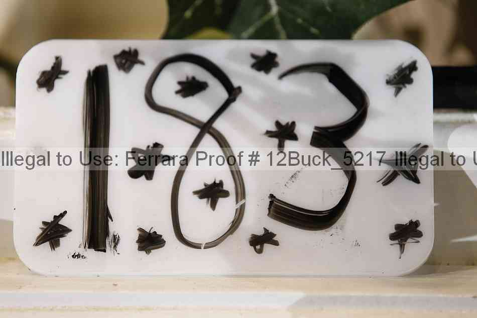 Proof 12buck_5217
