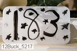 12buck_5217 proof