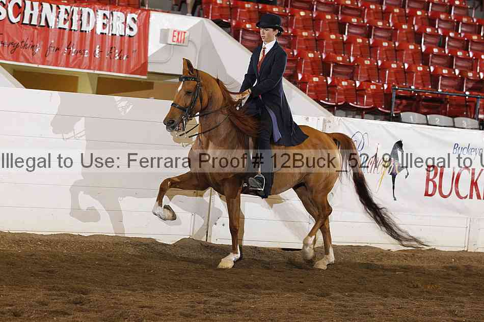 Proof 12buck_5219