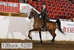12buck_5220 proof